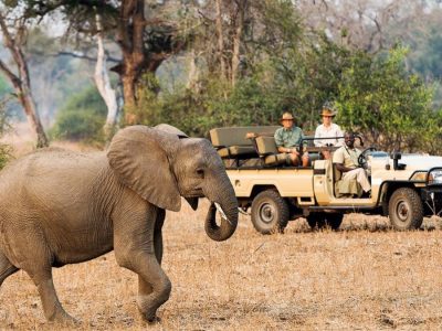 12-Day Adventure Safari