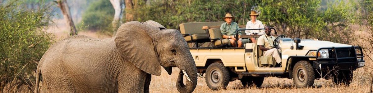 12-Day Adventure Safari