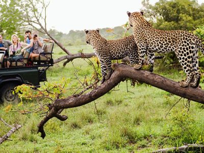 12-Day Budget Safari Tour in Kenya and Tanzania