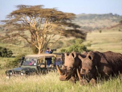 4-Day Kenya Safari Tours