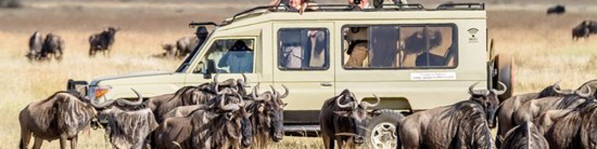 4-Days-Serengeti-Ngorongoro-crater-safari-